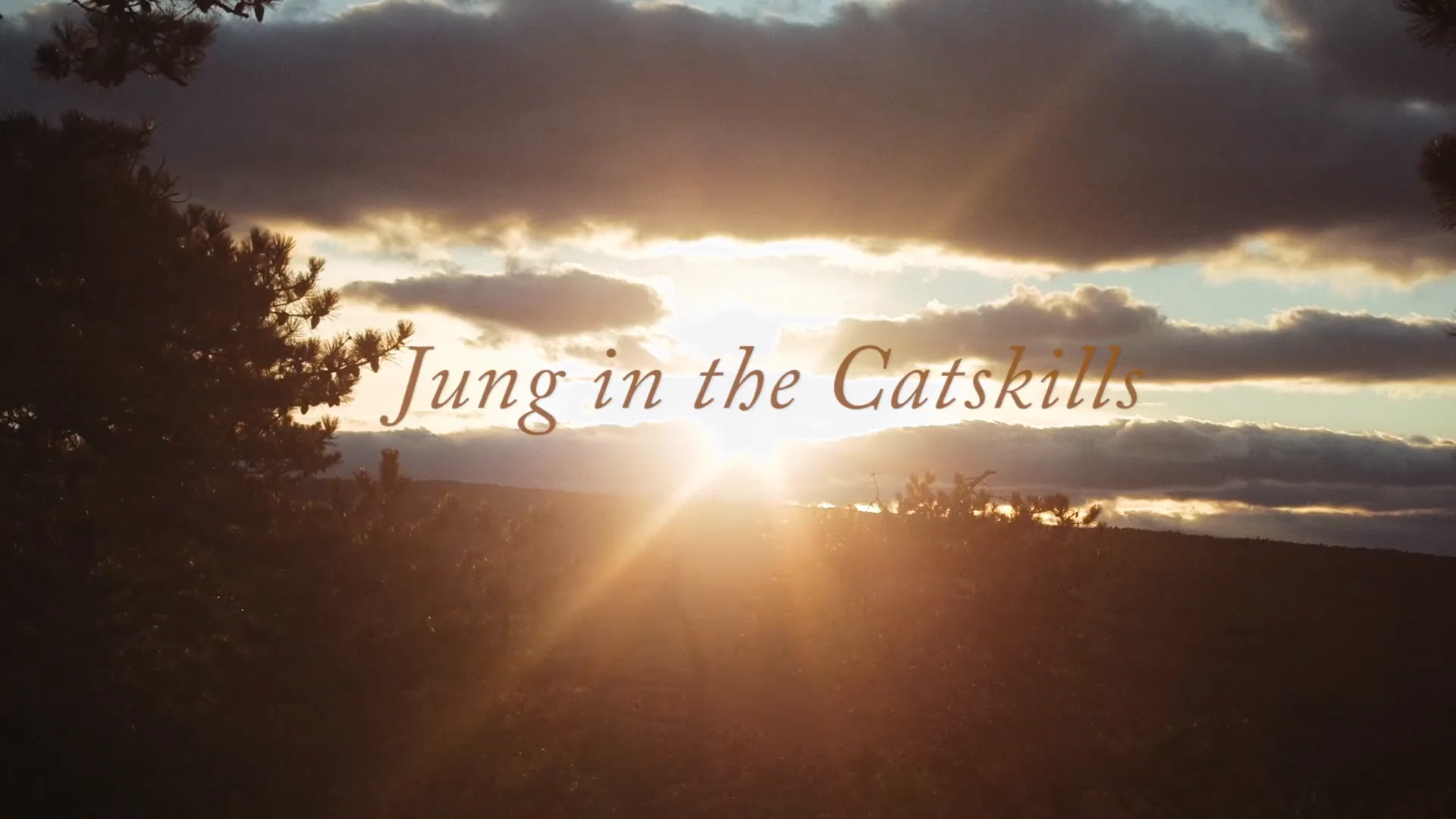 Jung in the Catskills
